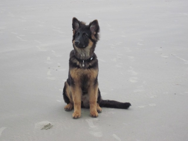 Fotos/2010vervolgTaylor/Cycka/terschelling_2011_023[1].JPG